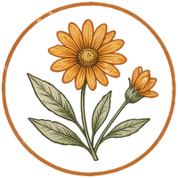 Calendula flowers illustration in an amber circle
