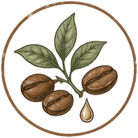 Coffee beans and leaves illustration in an amber circle