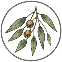 Eucalyptus branch illustration in an amber circle