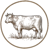 Tallow cow illustration in an amber circle